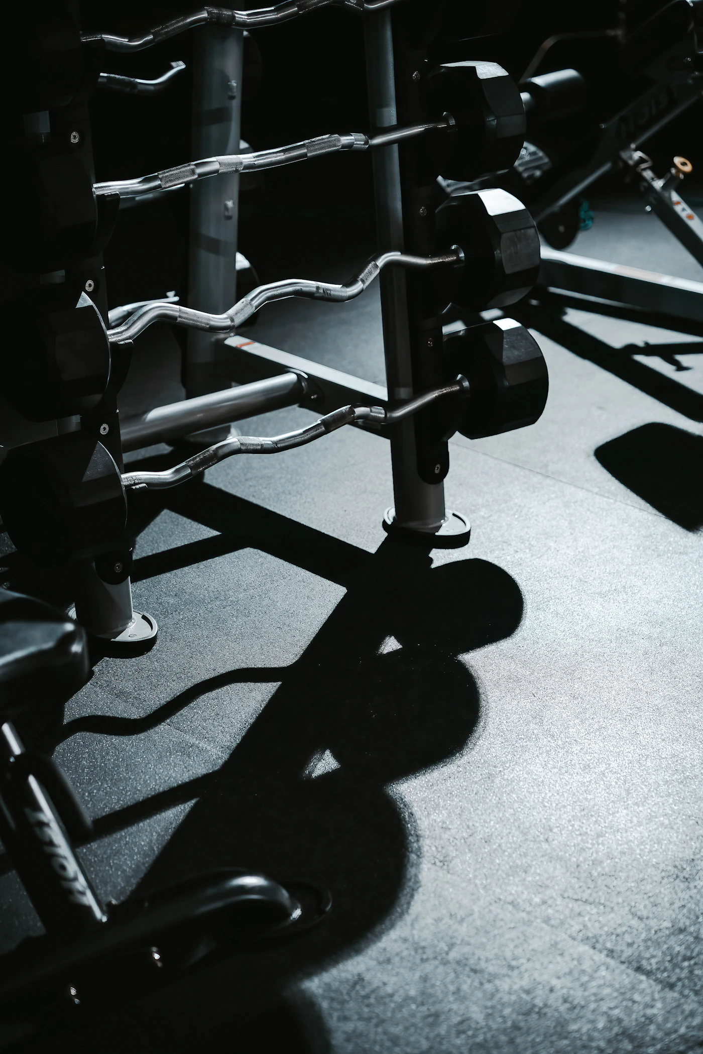 Iron Pump Gym Flushing